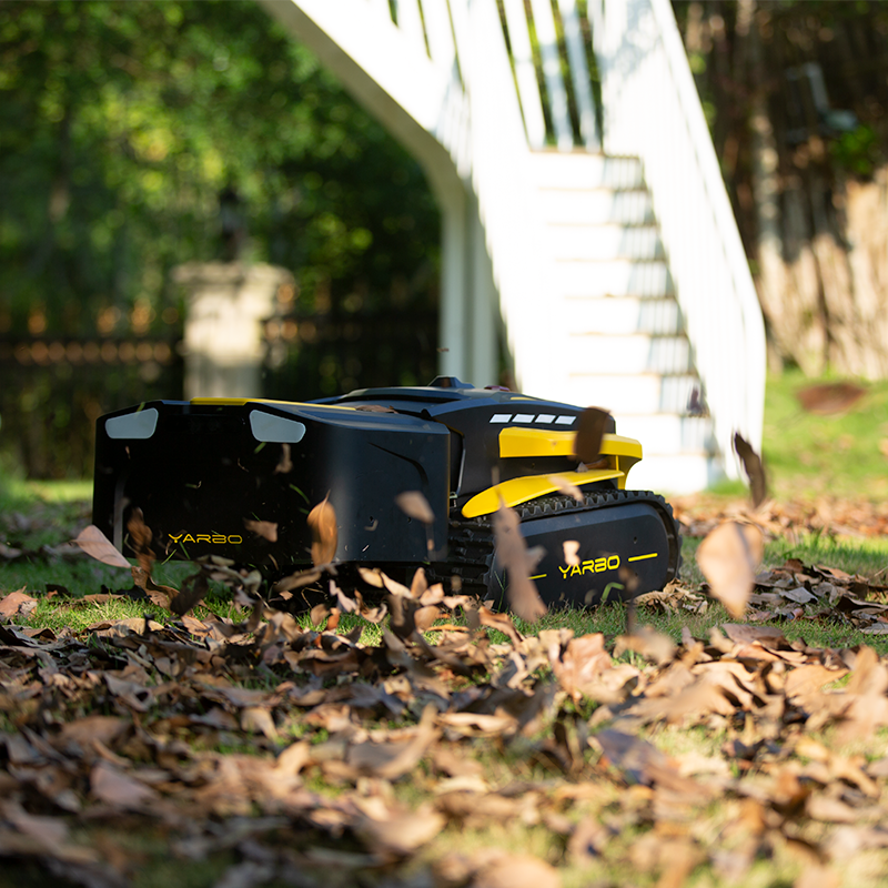 图片悬浮 section images