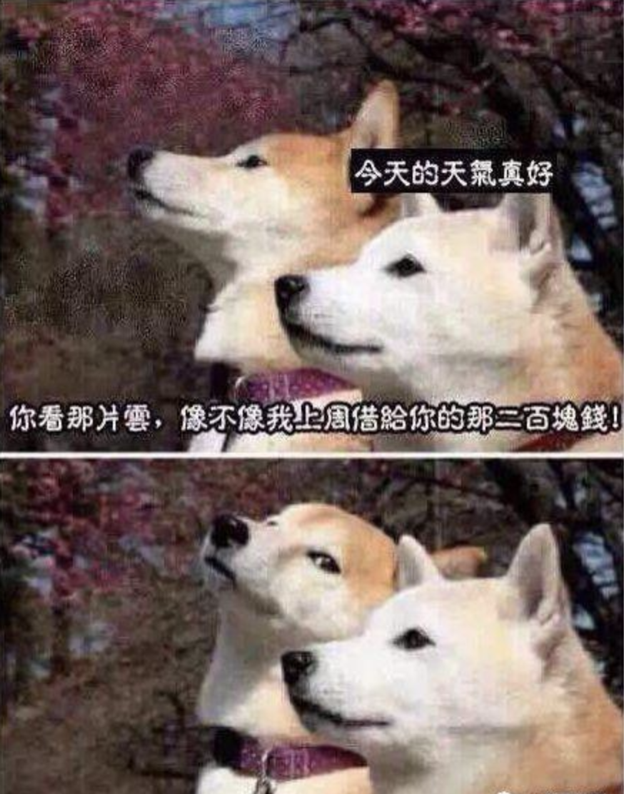 {"default":"WechatIMG2- alt 属性"}
